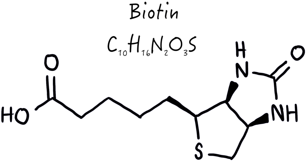 biotin molecule