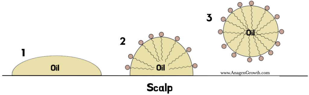 sodium lauryl sulfate (sls)   removing sebum from scalp