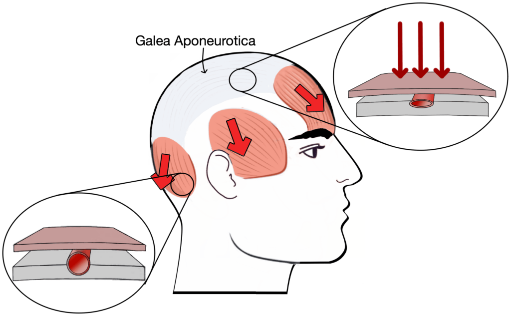 hair loss scalp environment