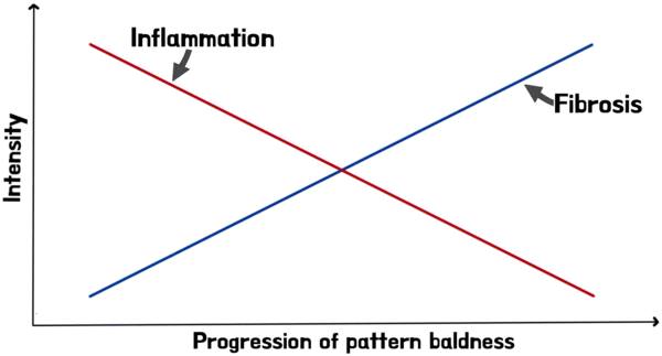 fibrosis and inflammation graph hair loss