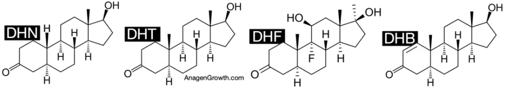 5-alpha-reduced steroid metabolites that cause hair loss