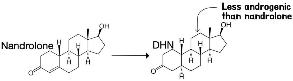 nandrolone converted into weaker metabolite